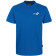 color:royal